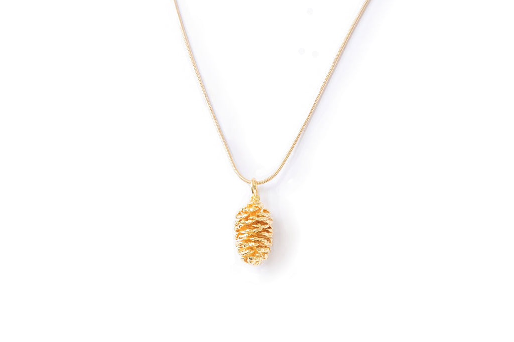 Pine Cone