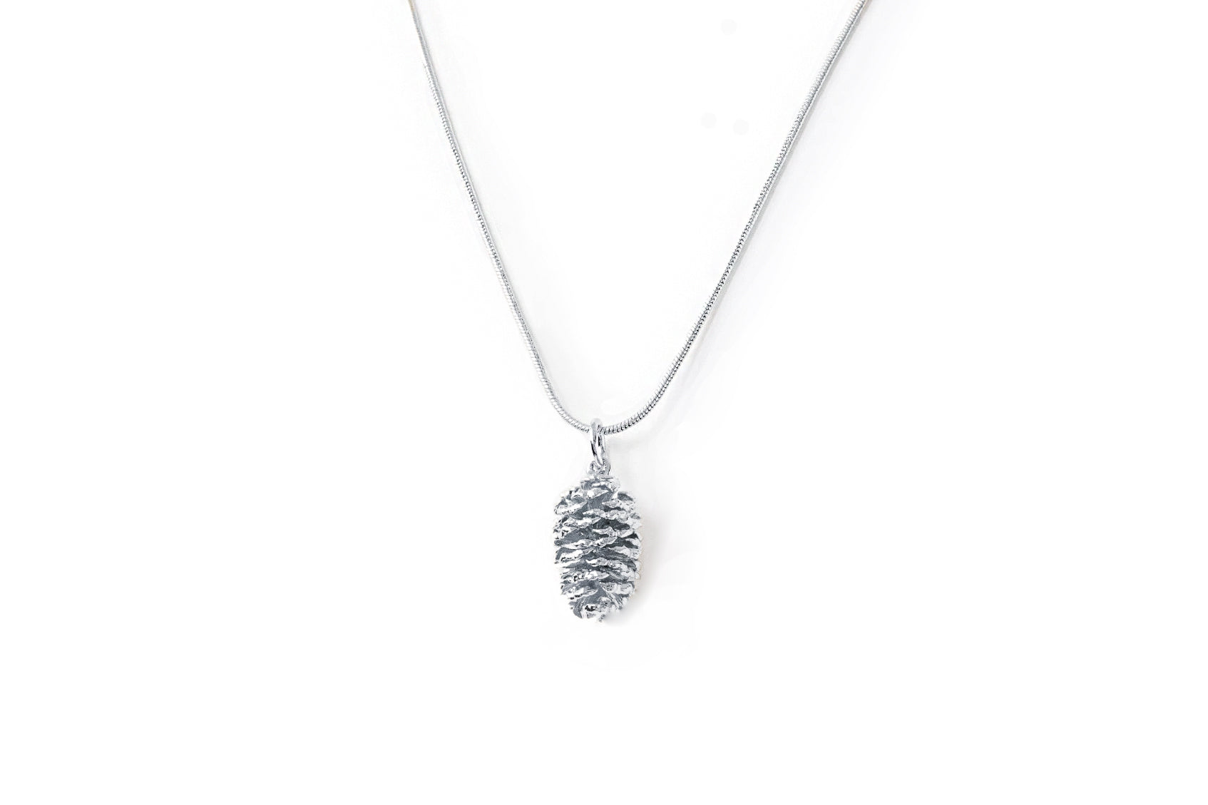 Pine Cone