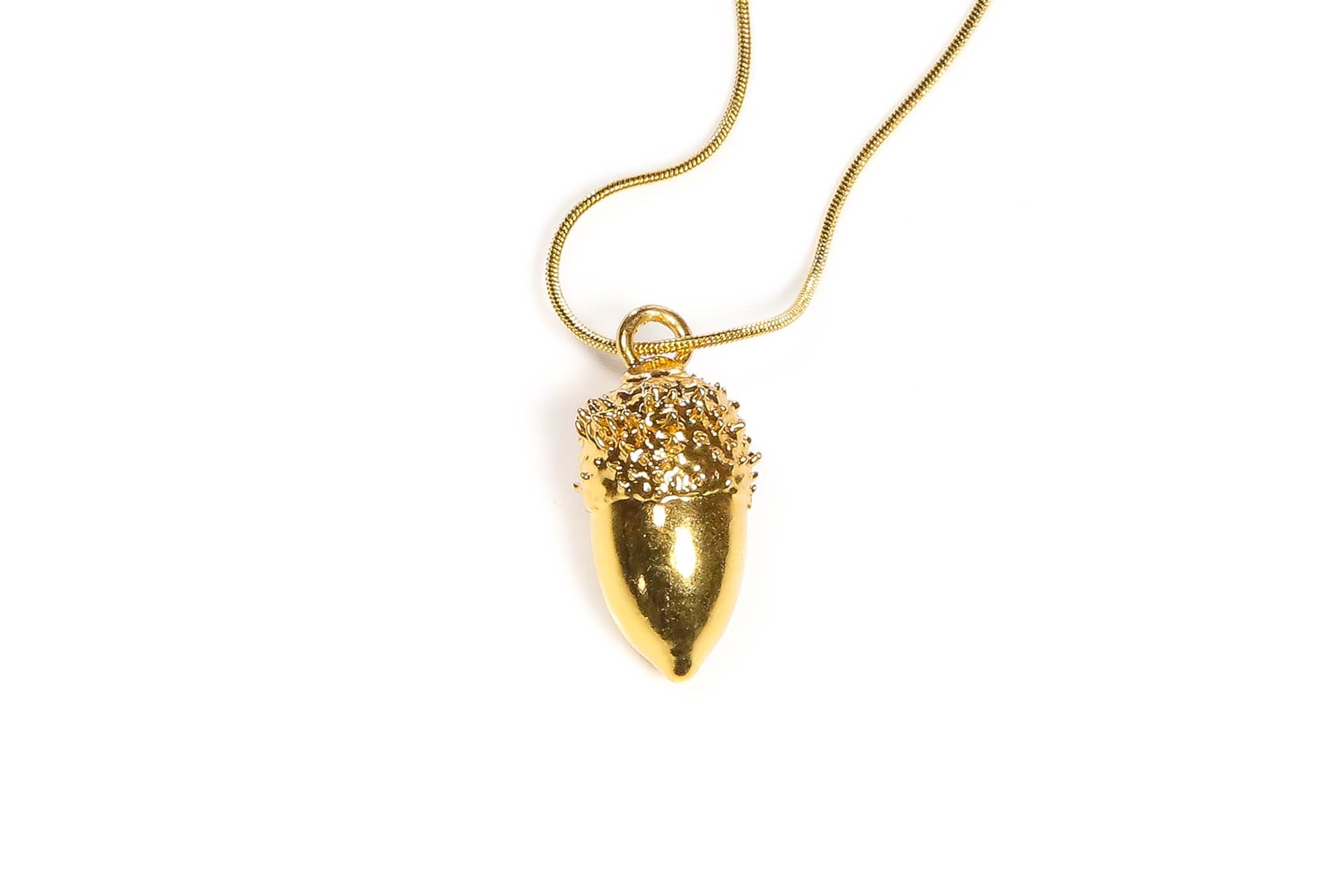 Acorn