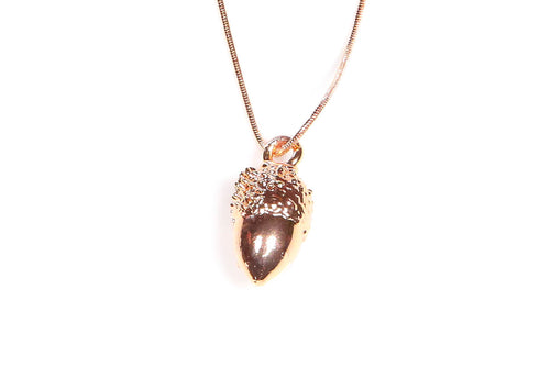 Acorn