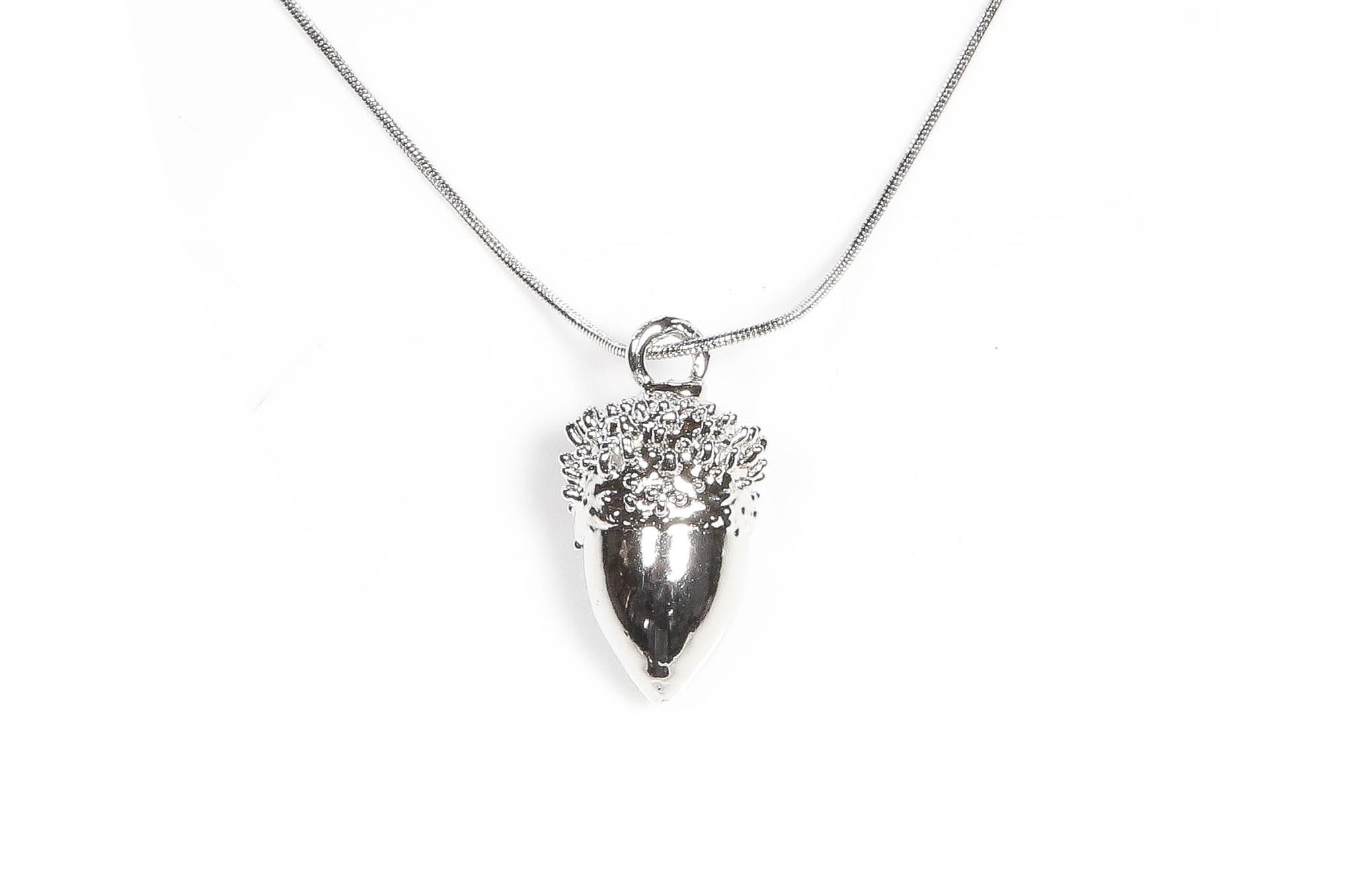 Acorn
