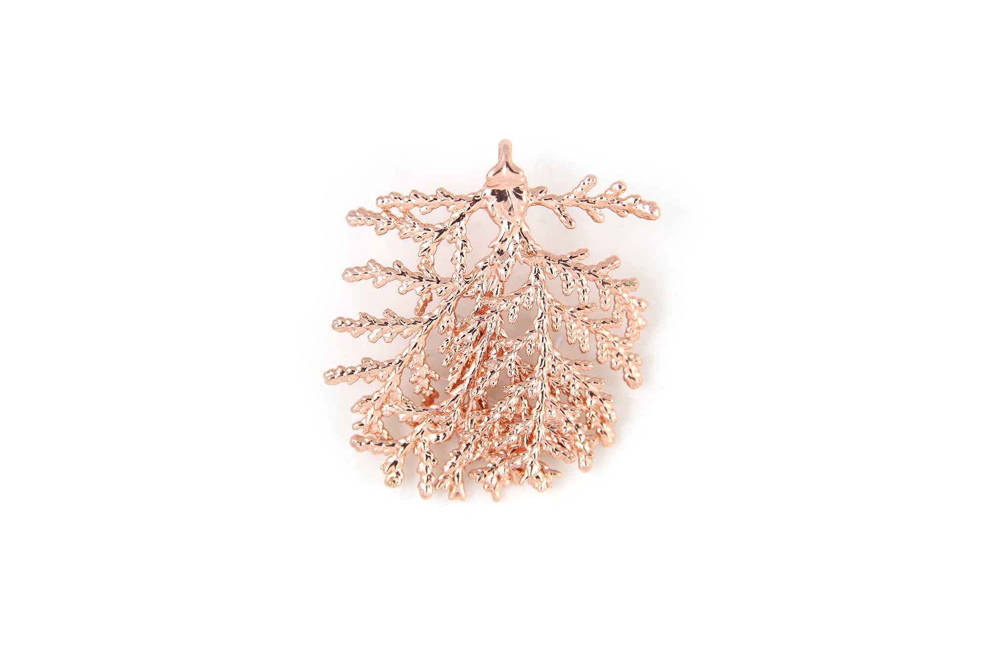 Cedar