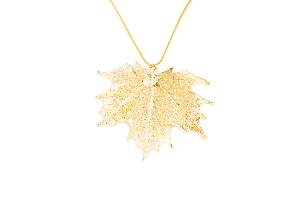 Canadian Maple