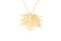 Canadian Maple