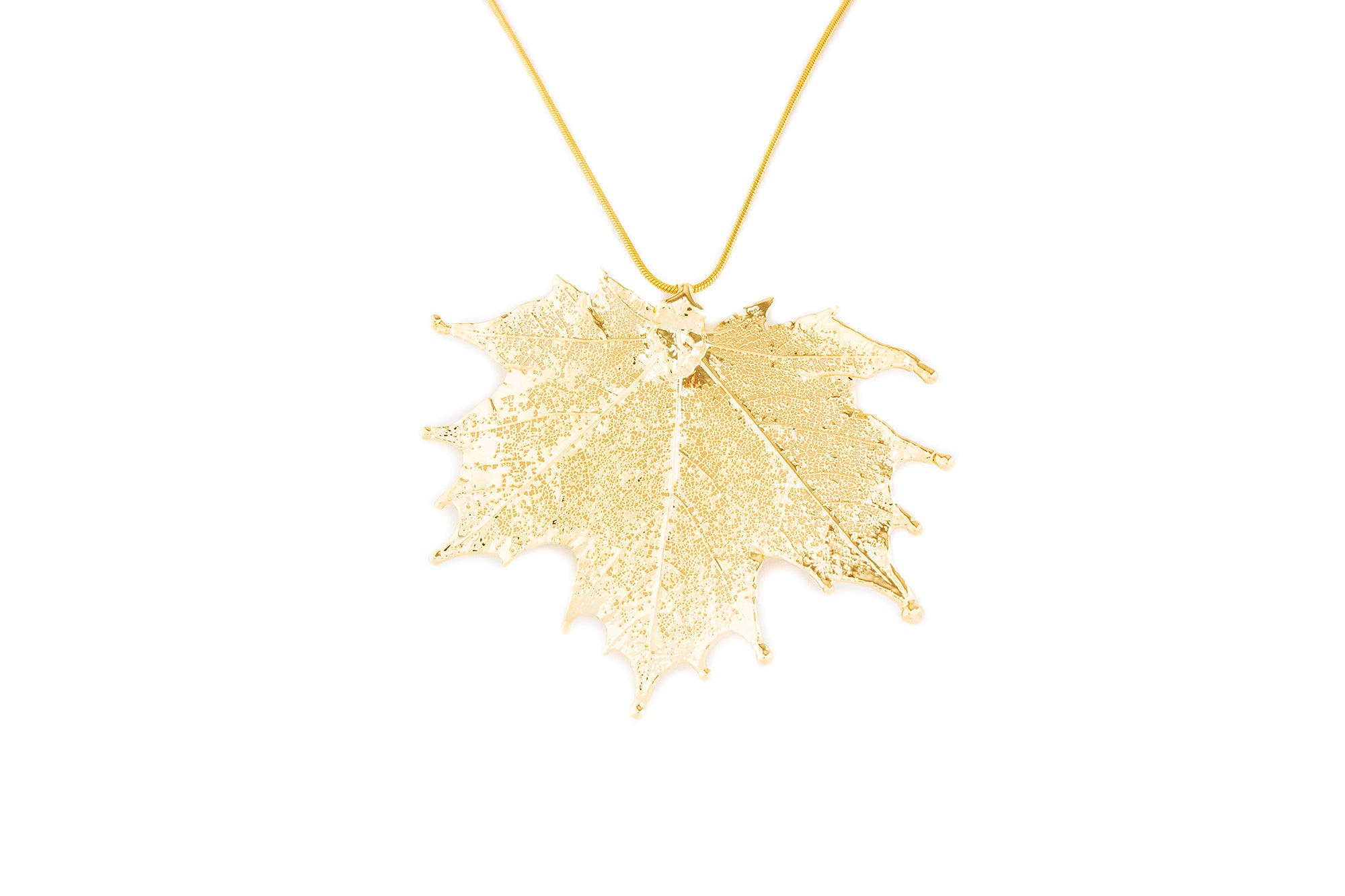 Canadian Maple