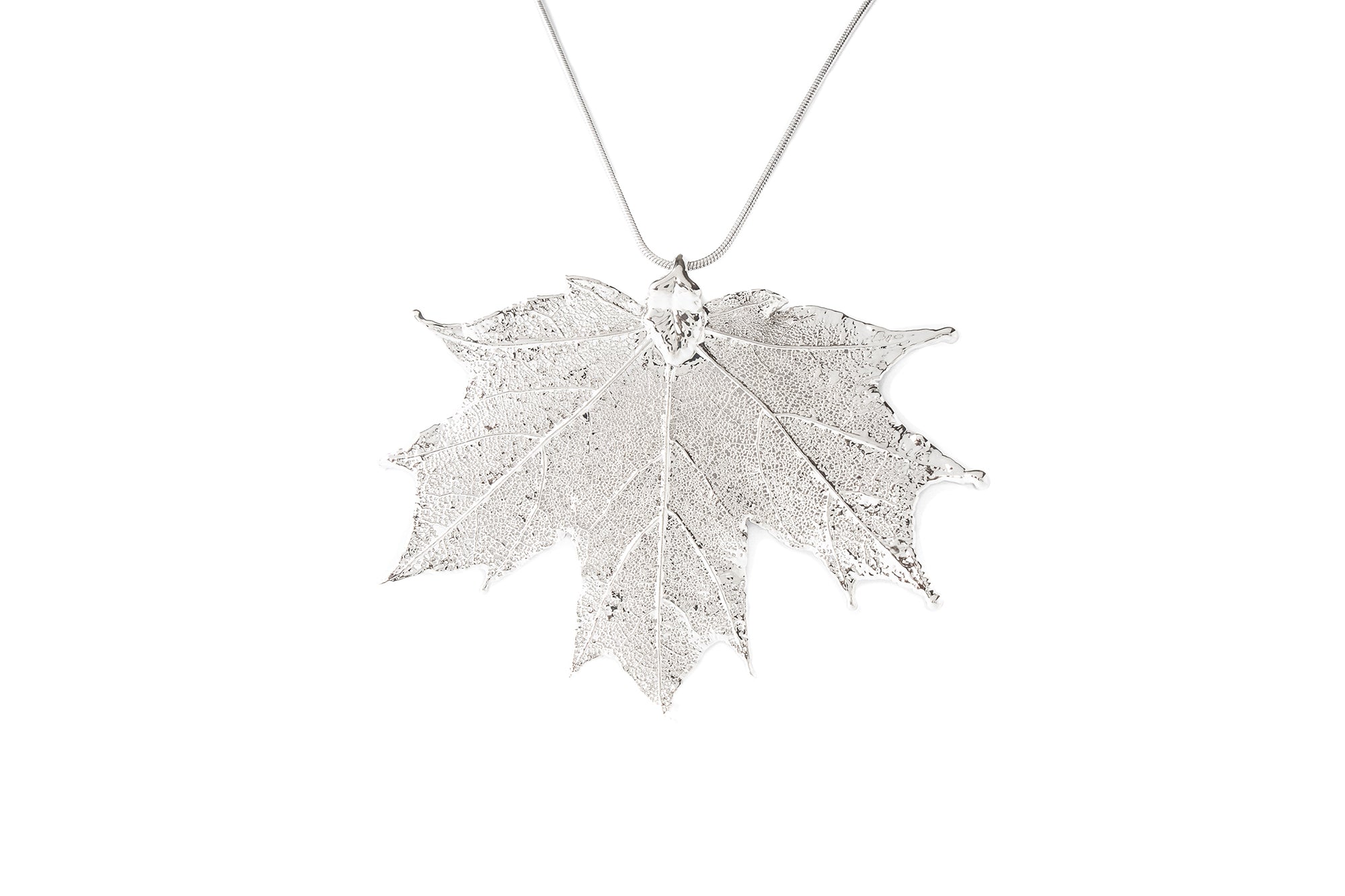 Canadian Maple
