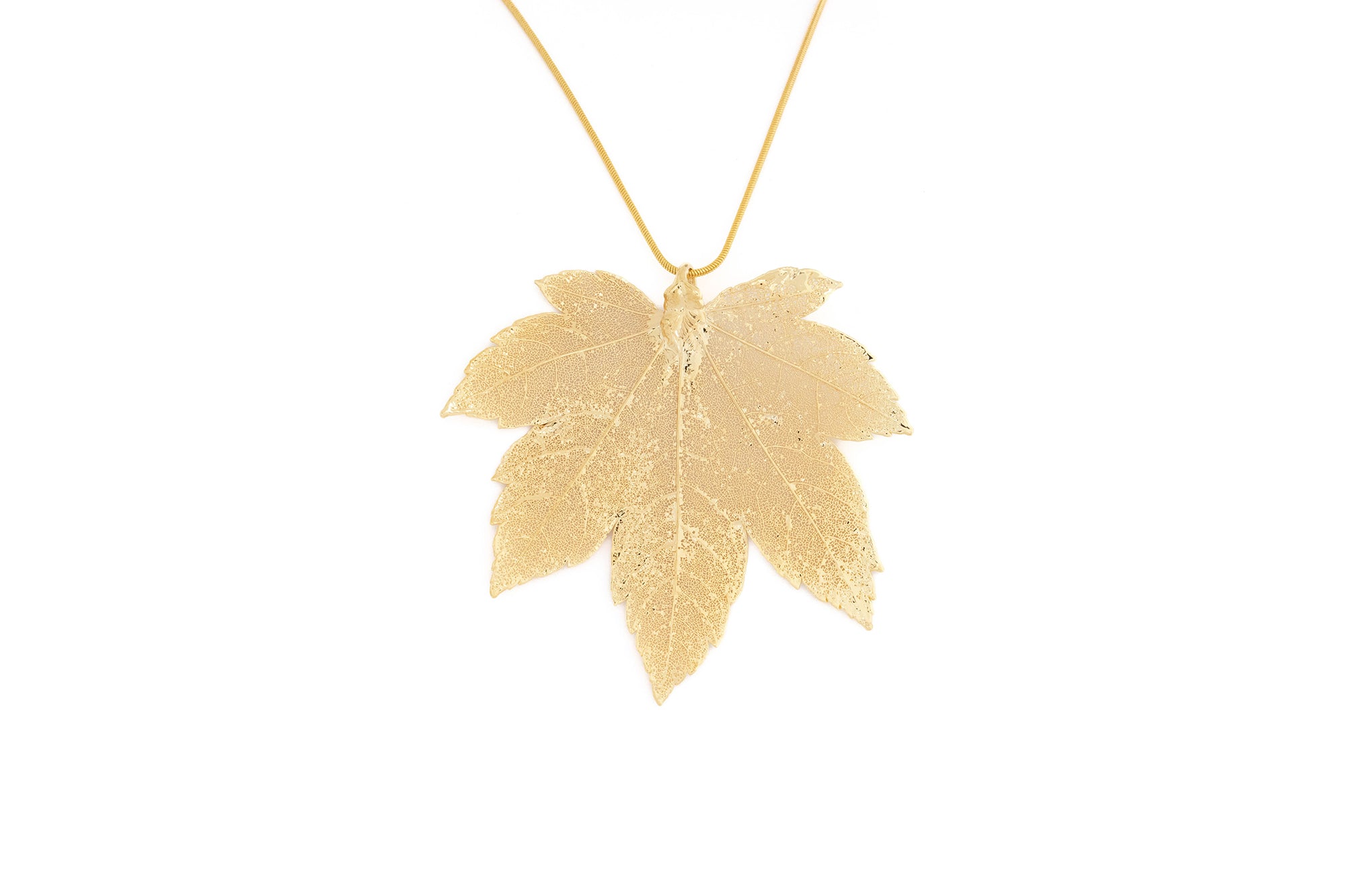 Full Moon Maple
