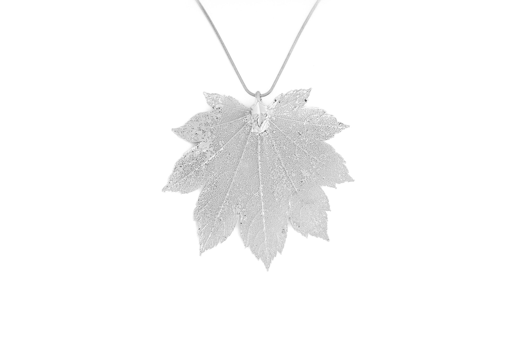 Full Moon Maple