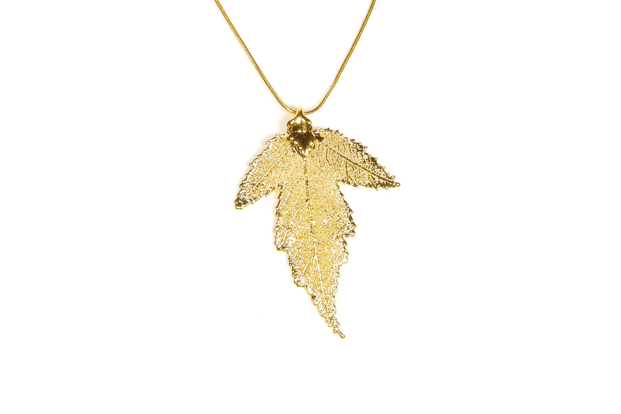 Mulberry