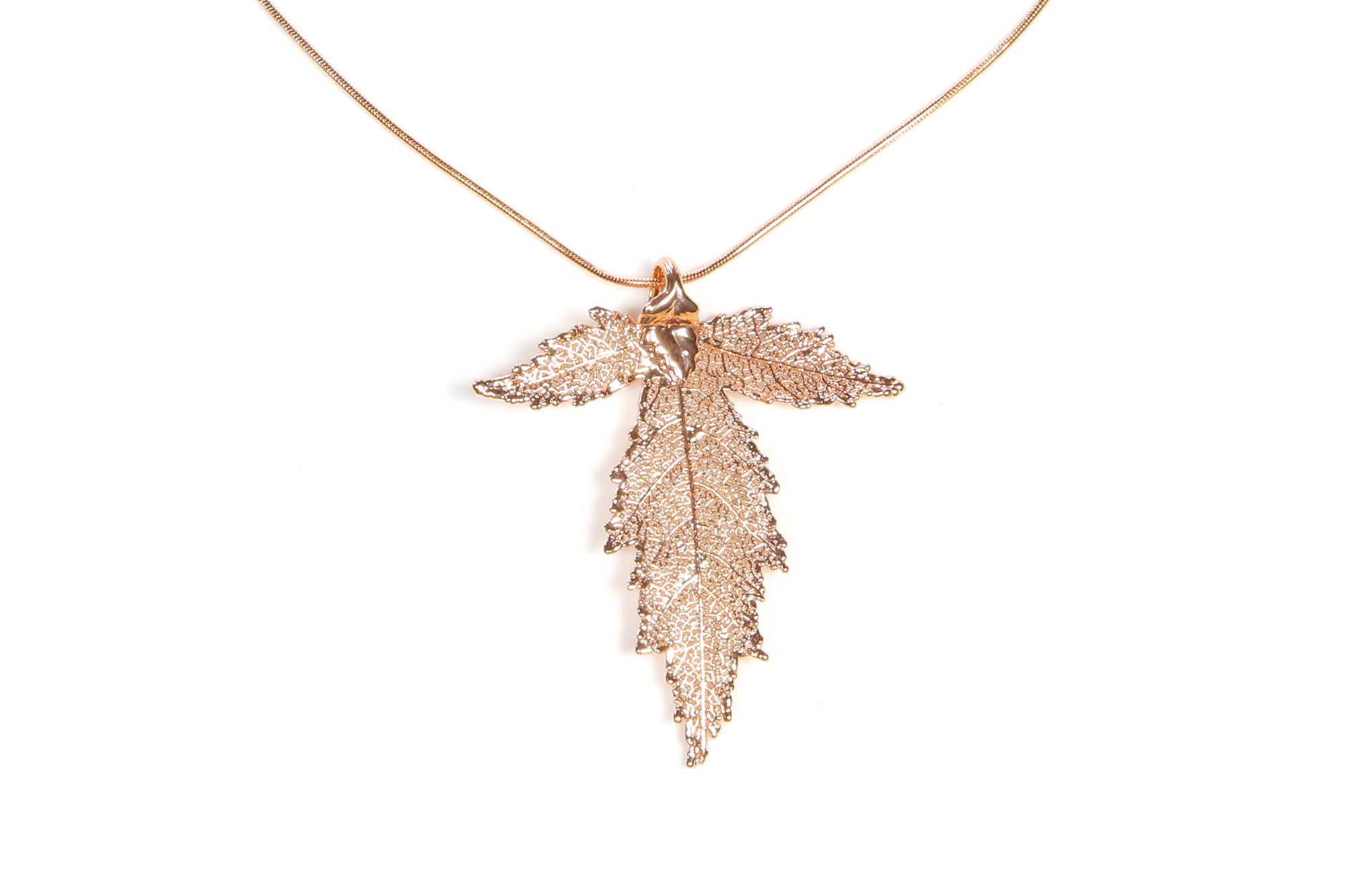 Mulberry