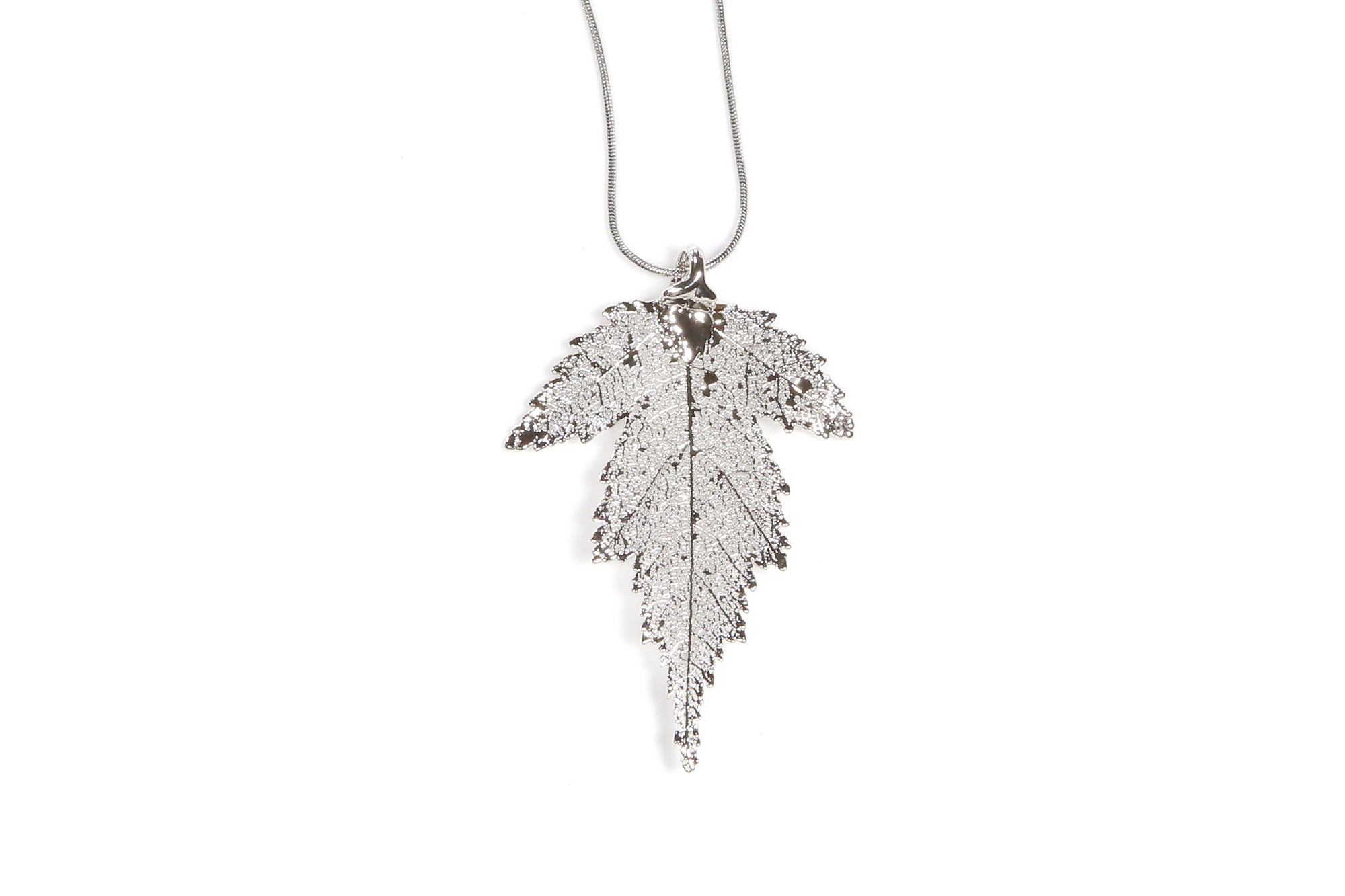 Mulberry