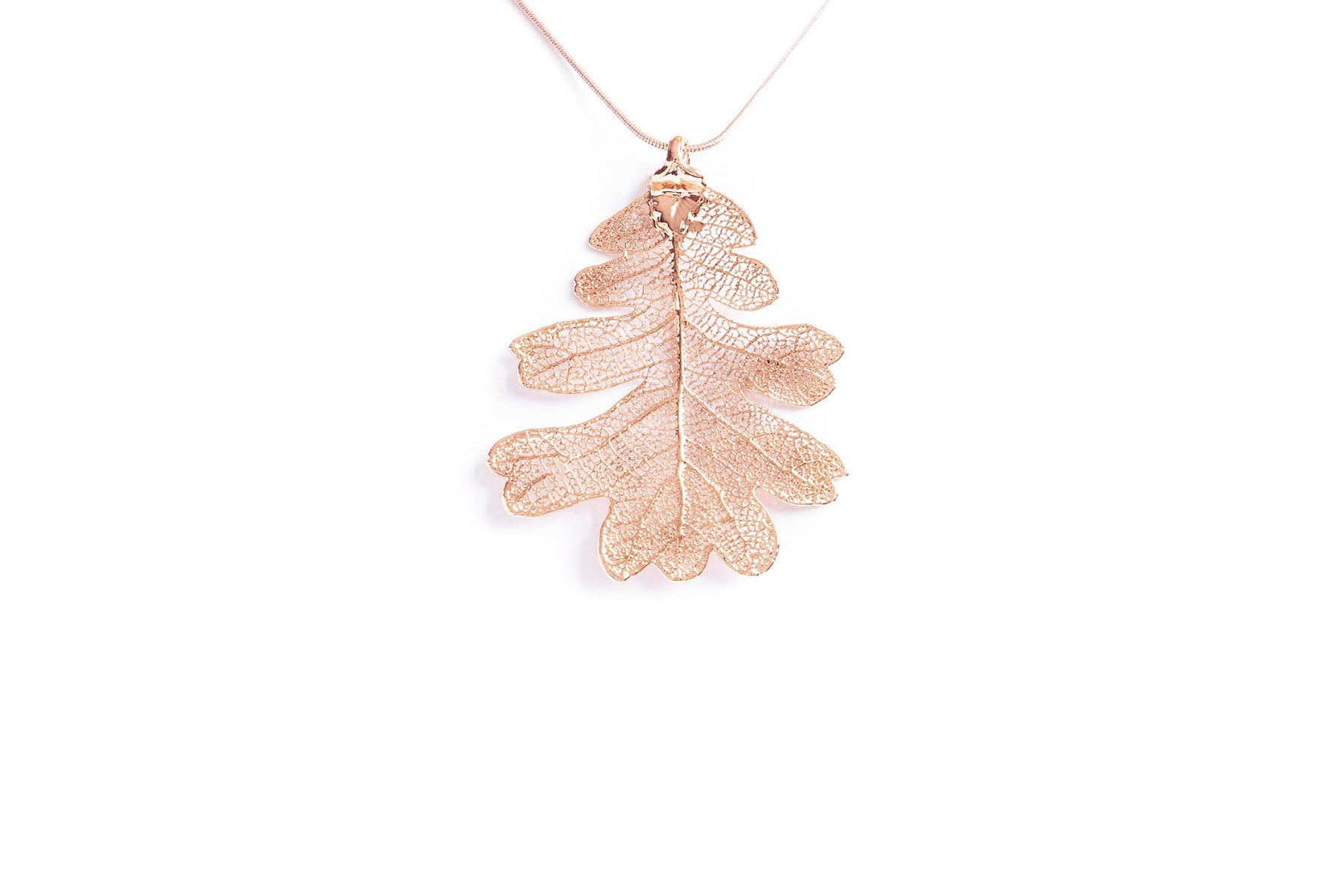 Oak