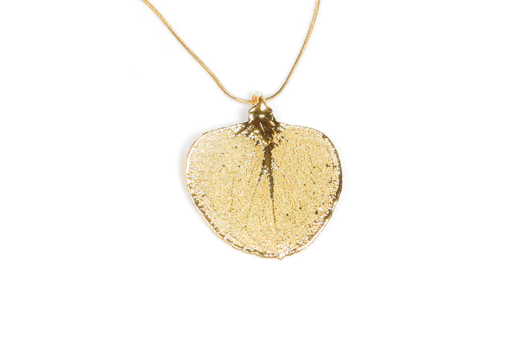 Money Leaf