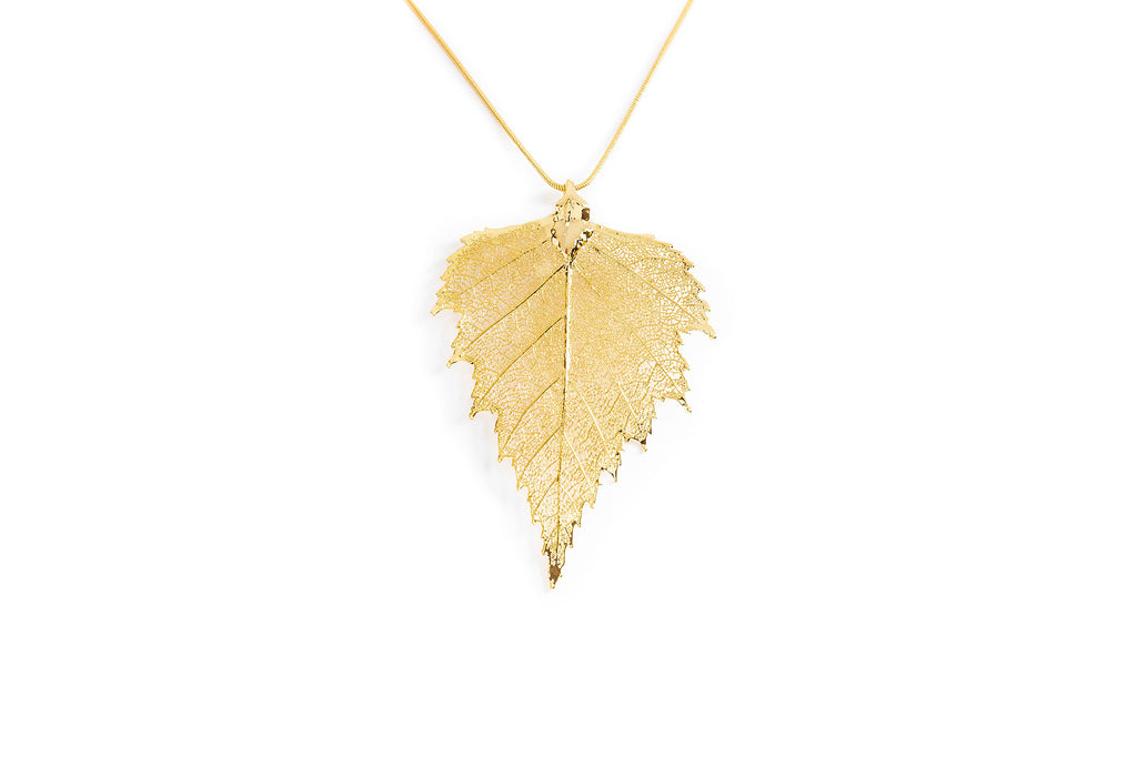 Birch