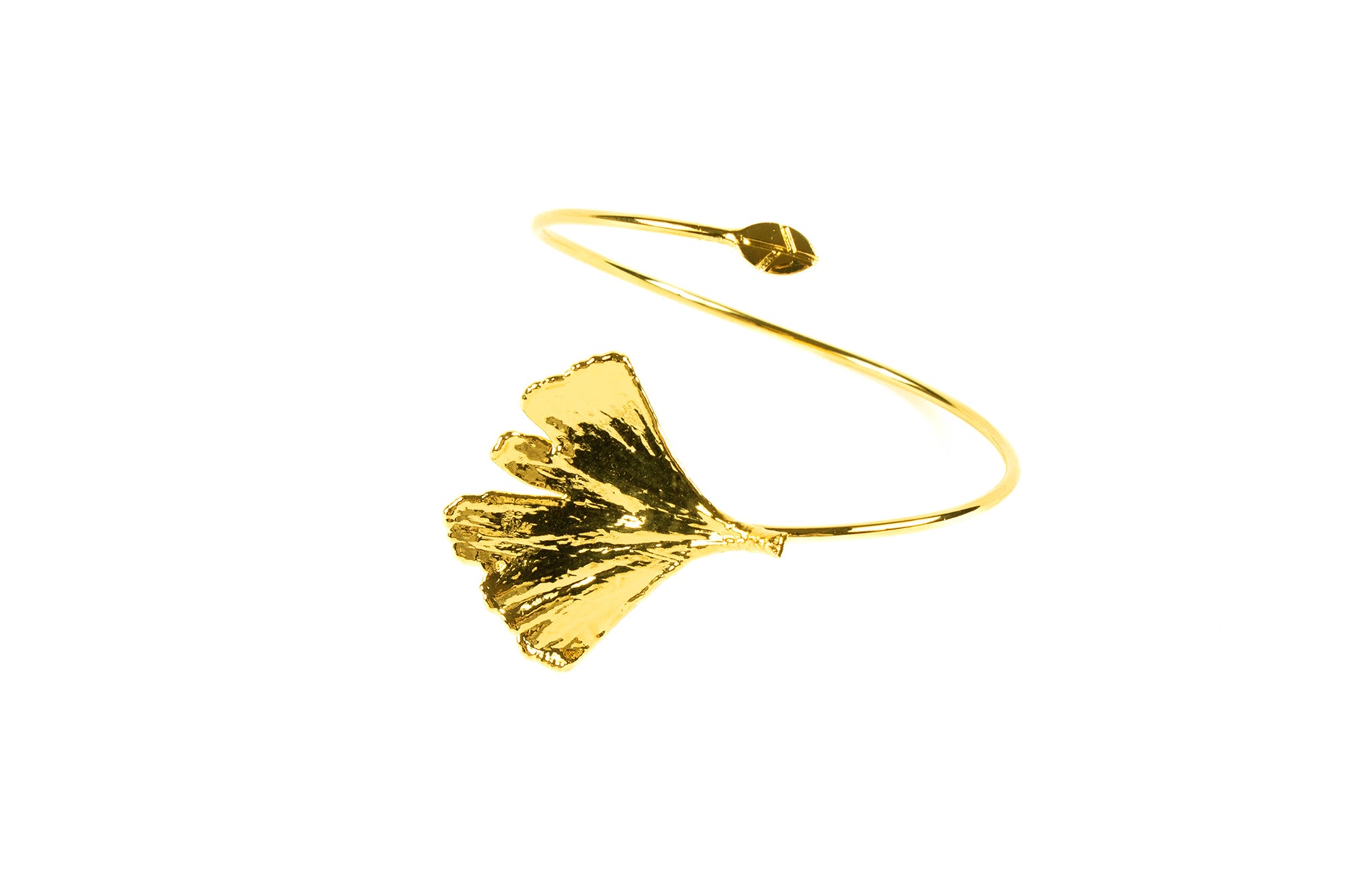 Gingko