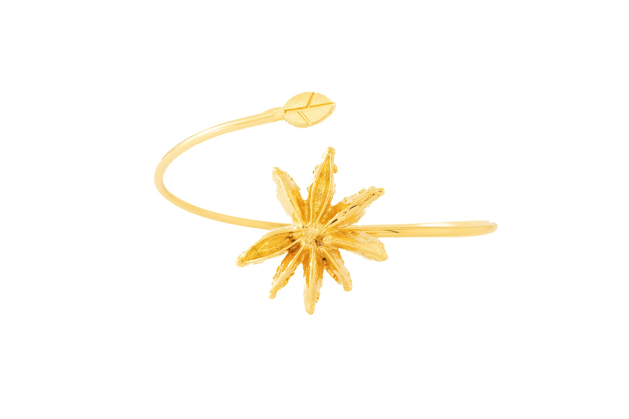 Star Anise