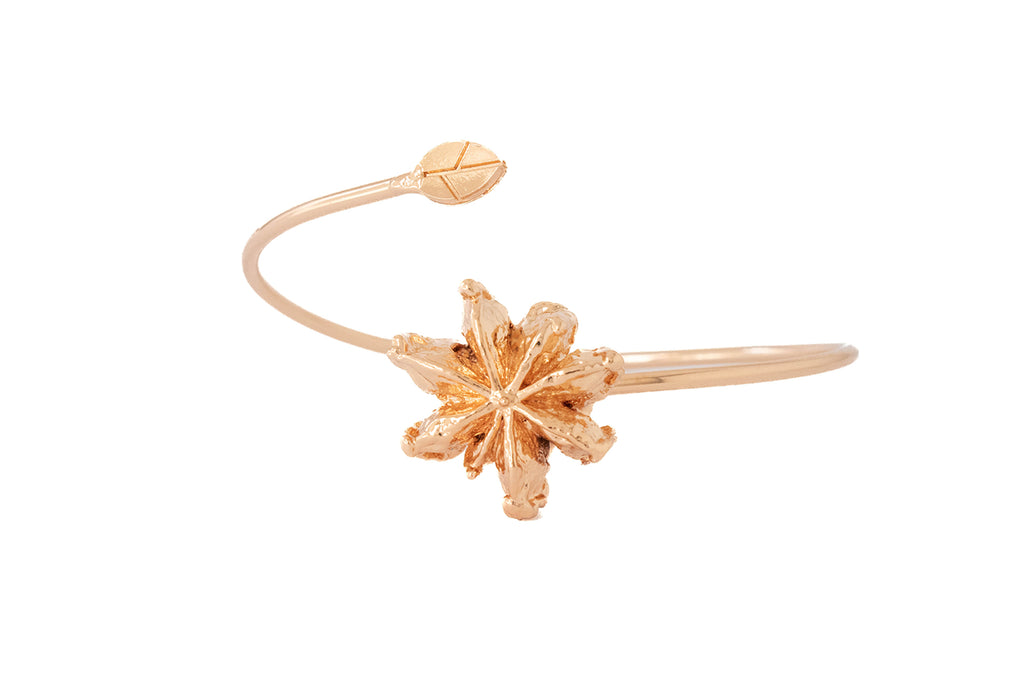 Star Anise