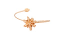Star Anise