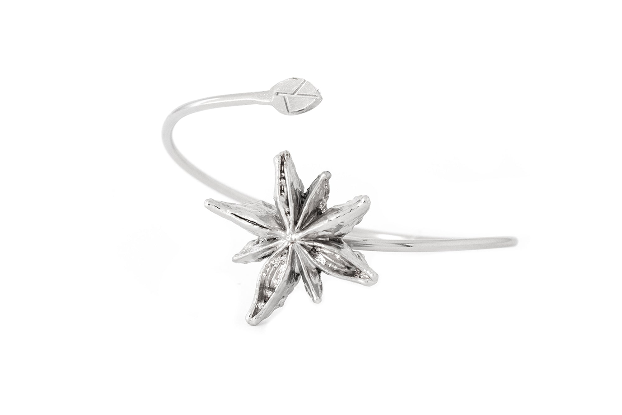 Star Anise