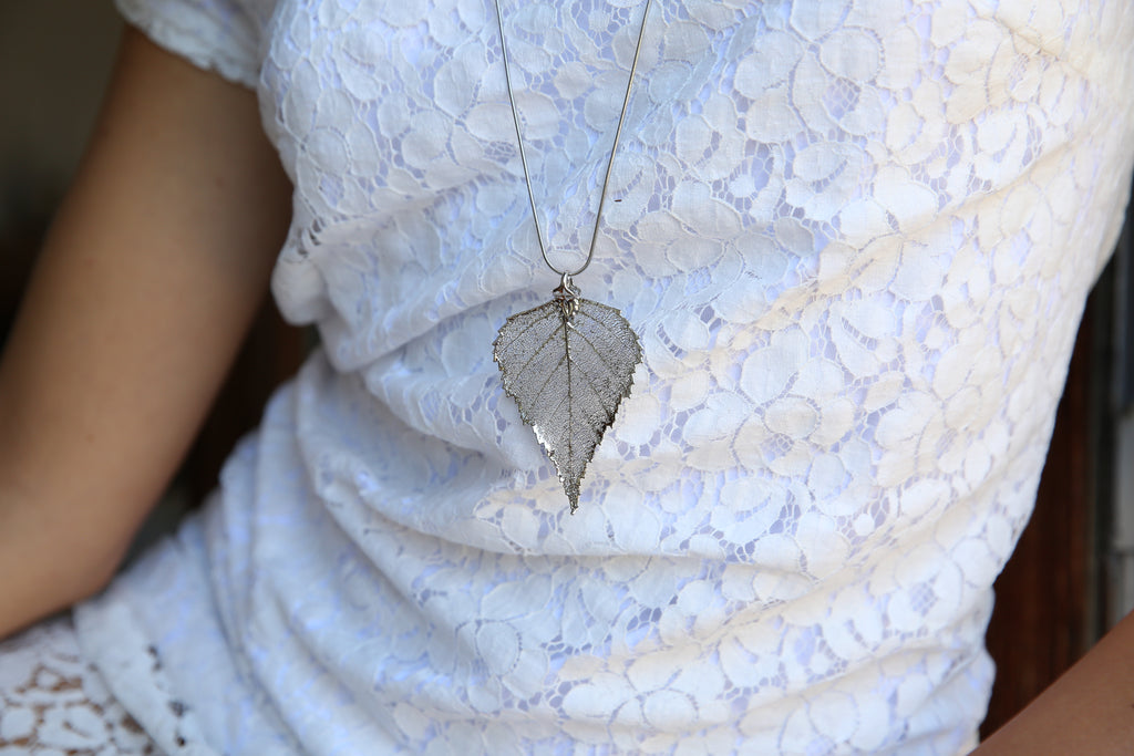 Birch