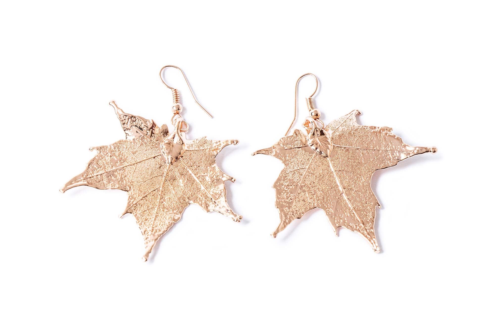 Canadian Maple