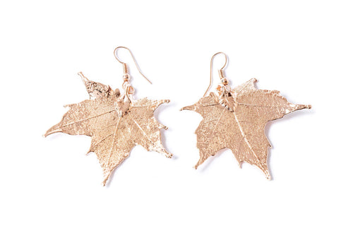 Canadian Maple