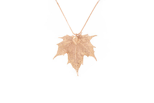 Canadian Maple