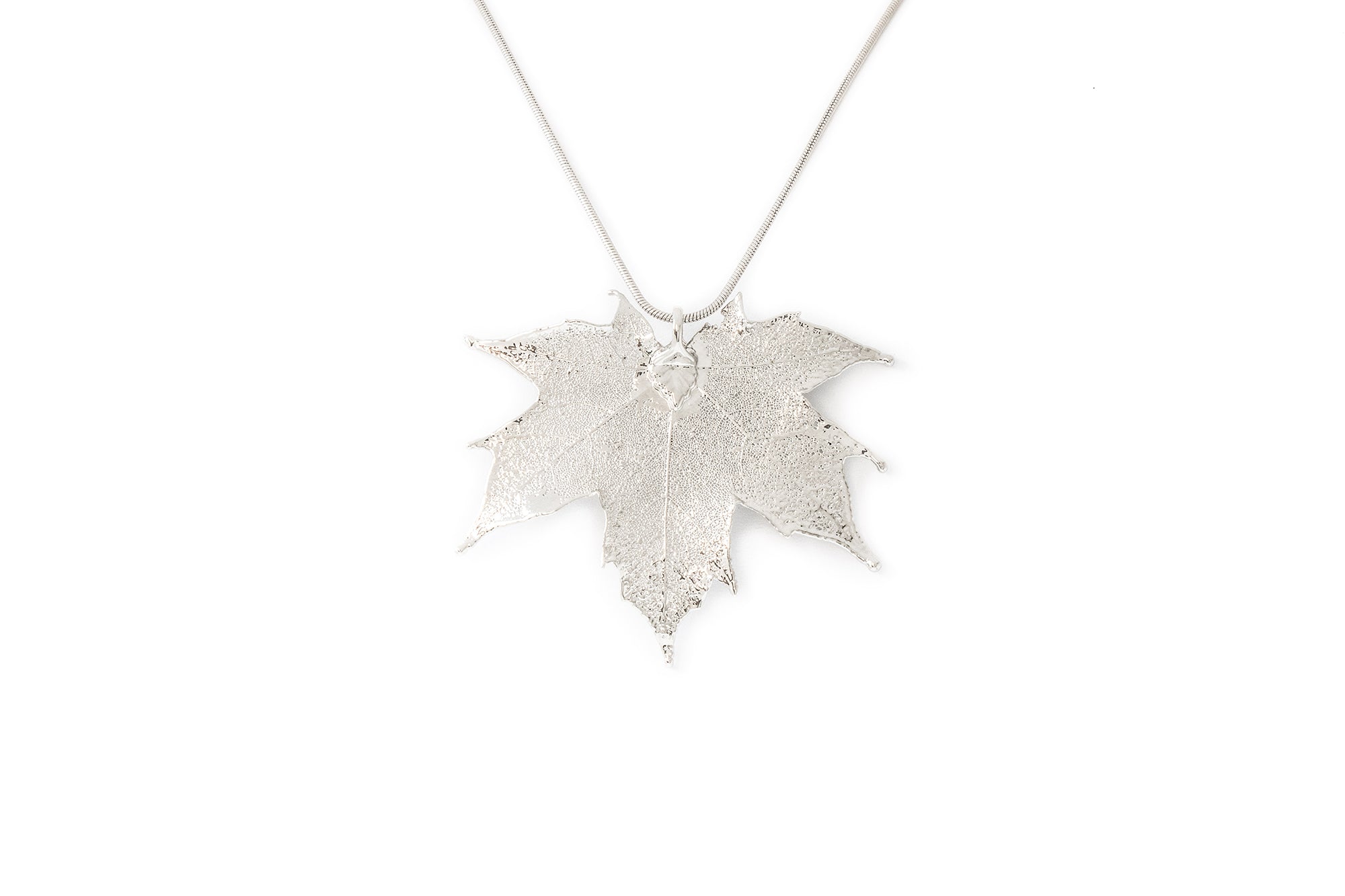 Canadian Maple