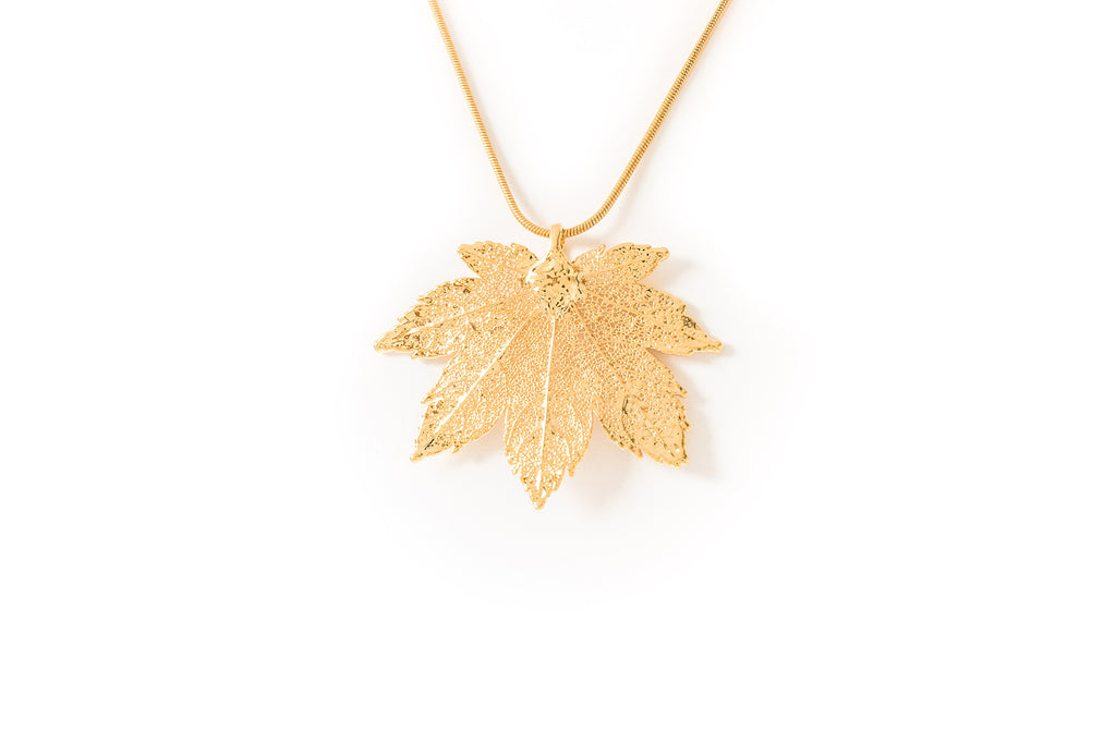 Full Moon Maple