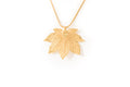 Full Moon Maple