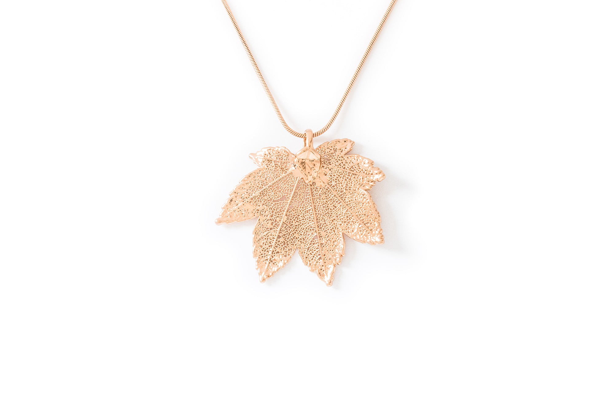 Full Moon Maple