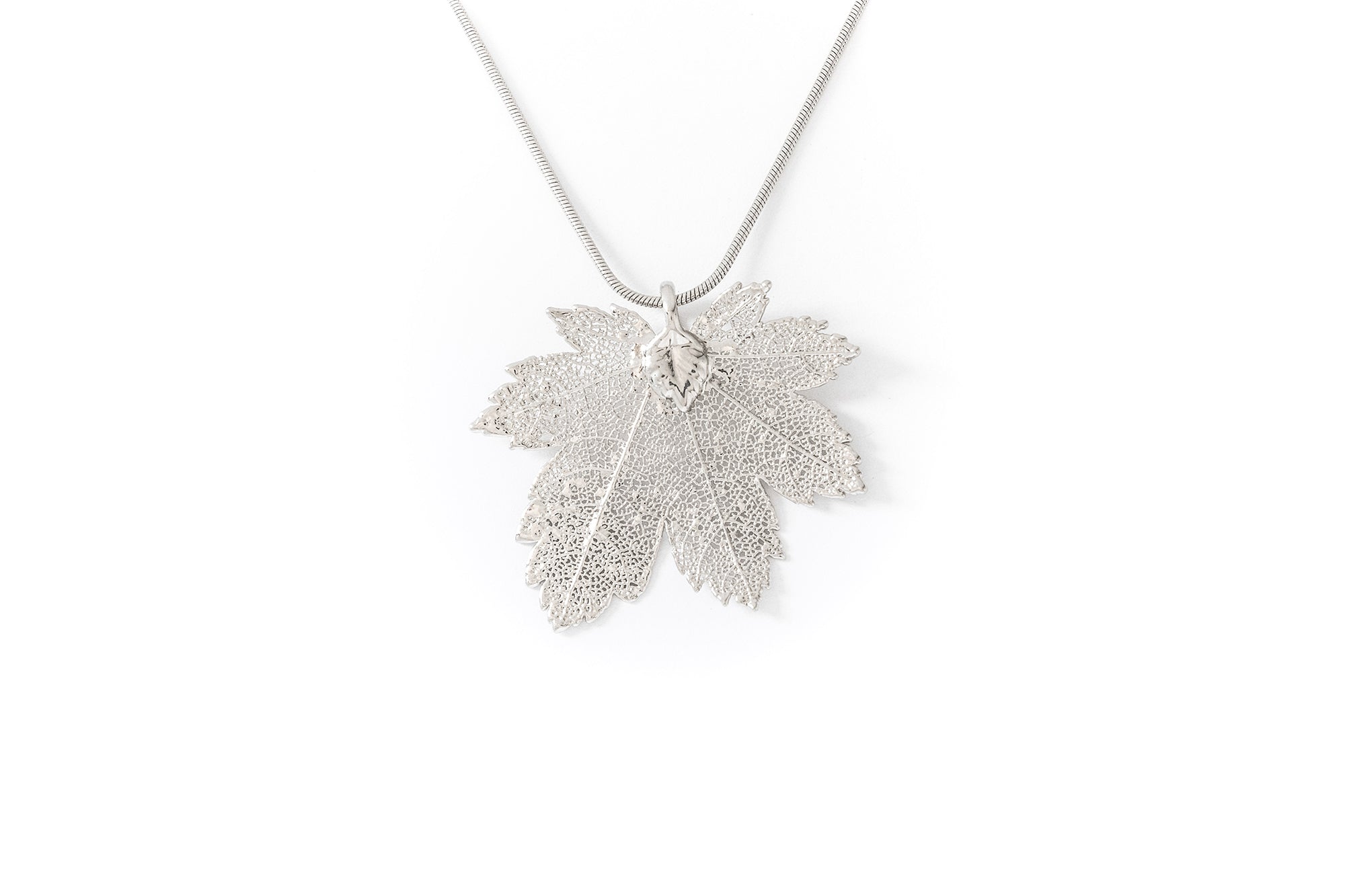 Full Moon Maple