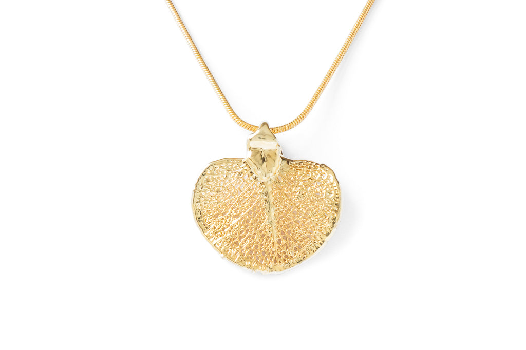 Money Leaf