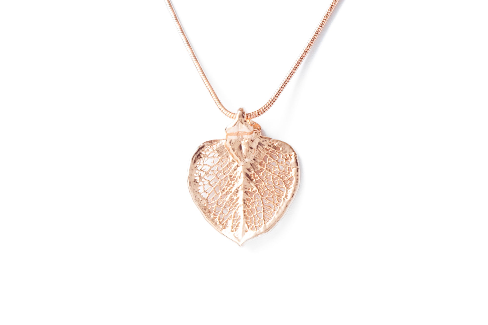 Money Leaf