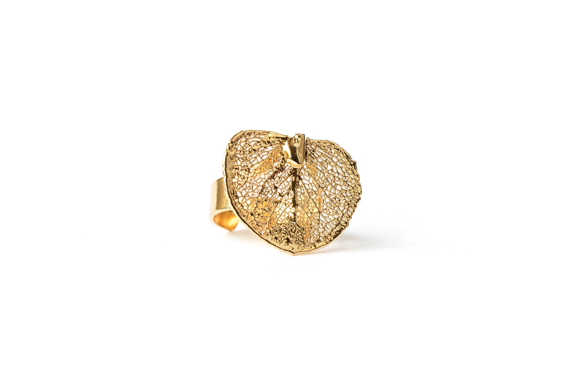 Money Leaf