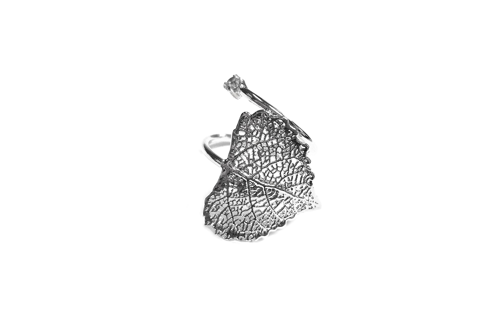 Cotton Leaf